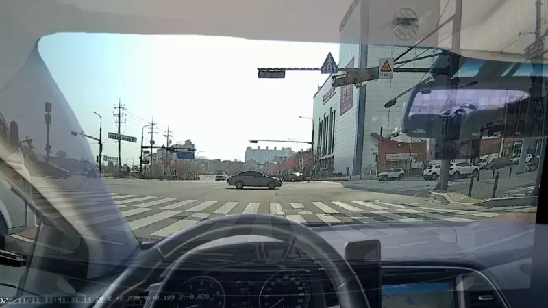 Driver's view 분석